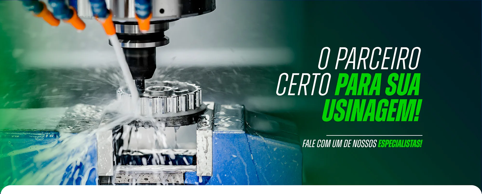 Motriz Química, o parceiro certo